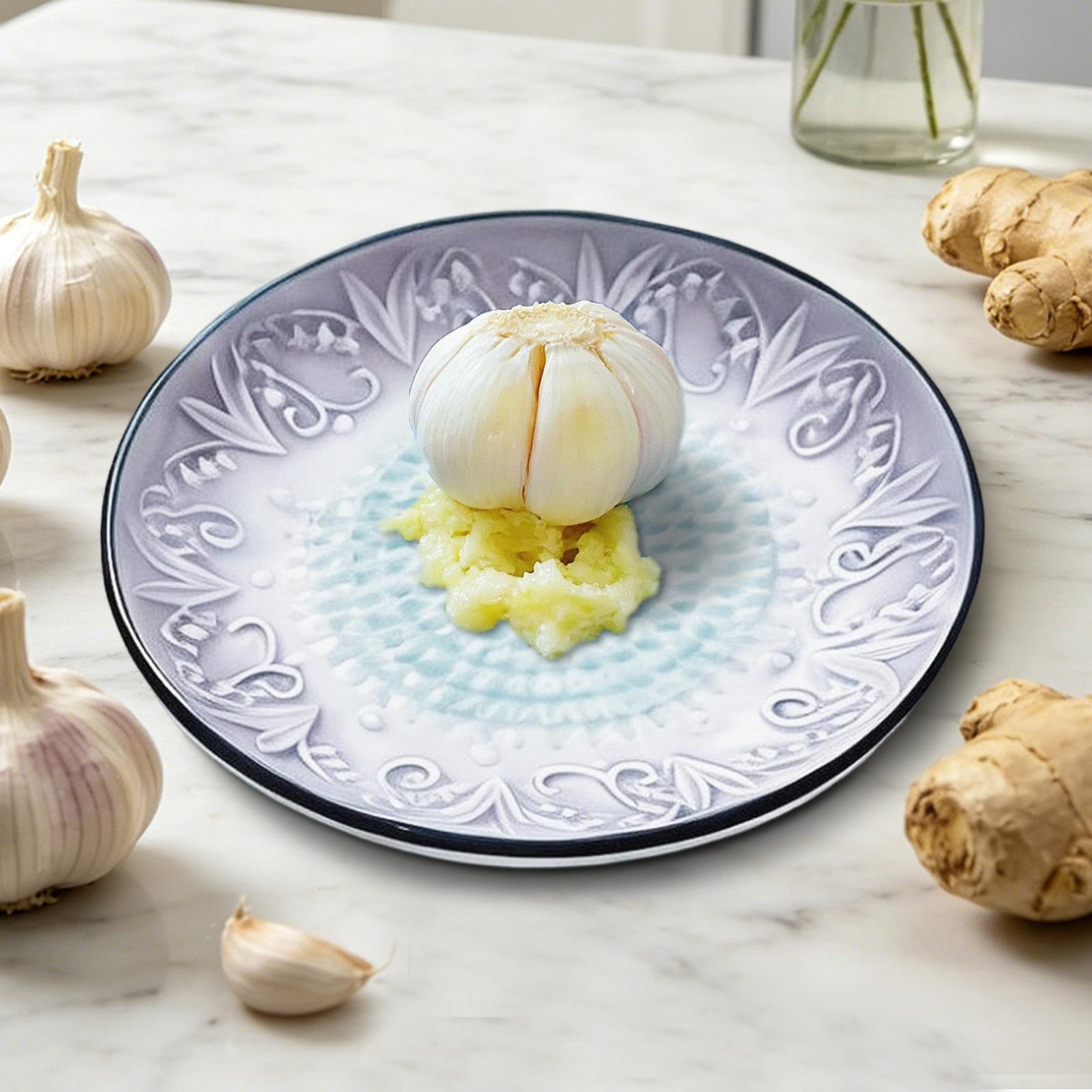ガーリックグレータープレートセラミックハンドヘルド小型キッチ - Kitchen Gadgets For Small Kitchens のレビューと価格